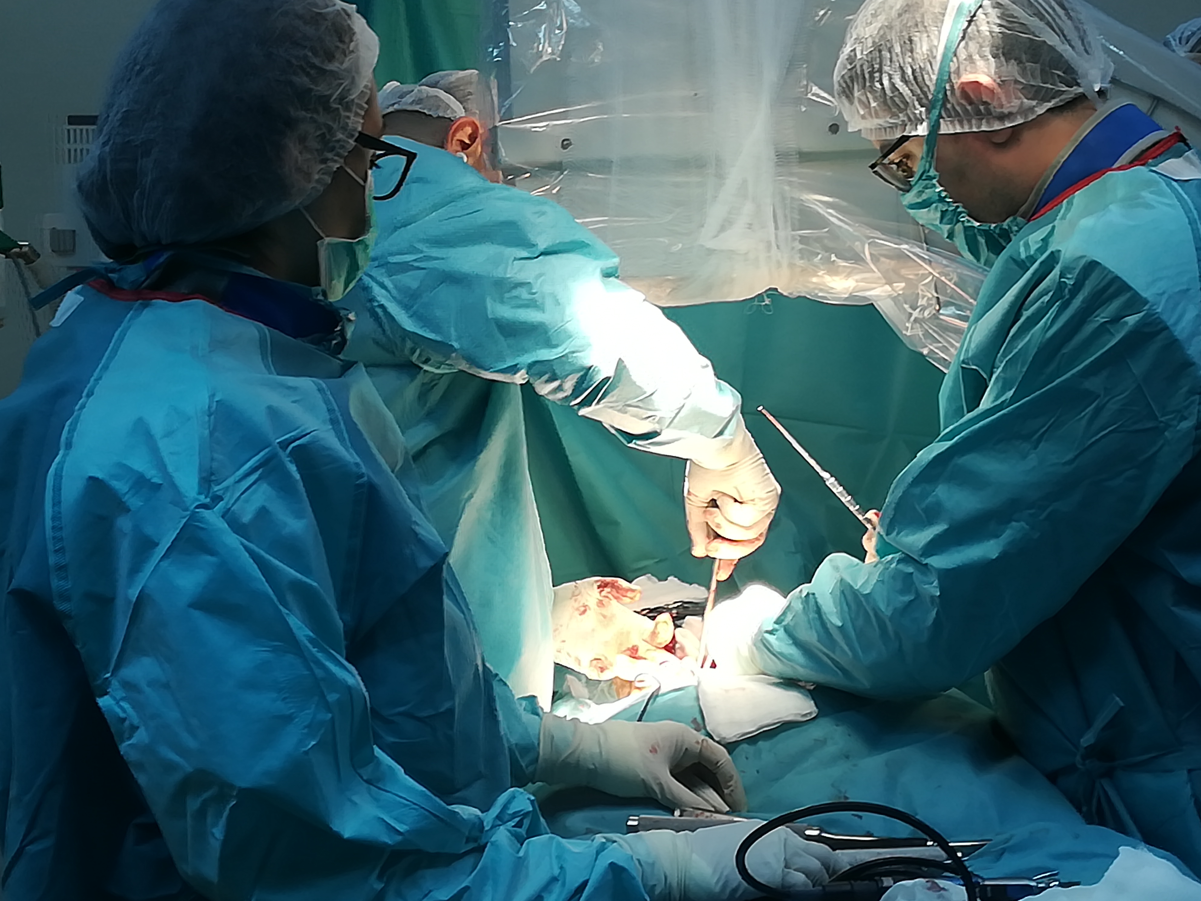 SCOLIOZA ENLIFE 020